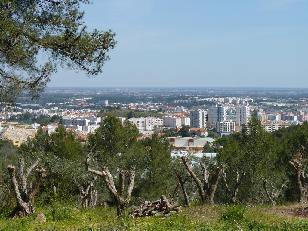 Casal Das Oliveiras Setúbal Eksteriør bilde